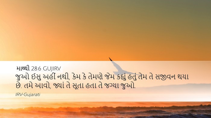 માથ્થી 28:6 GUJIRV Bible Verse Image