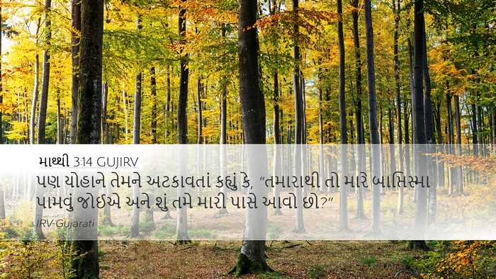 માથ્થી 3:14 GUJIRV Bible Verse Image
