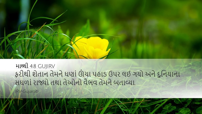 માથ્થી 4:8 GUJIRV Bible Verse Image
