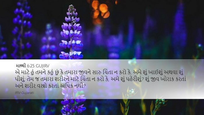 માથ્થી 6:25 GUJIRV Bible Verse Image