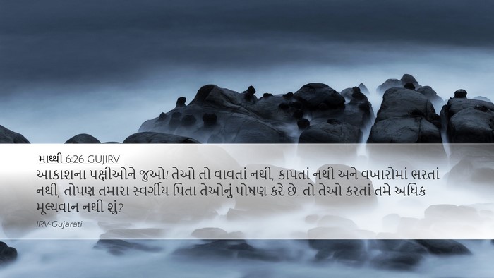 માથ્થી 6:26 GUJIRV Bible Verse Image