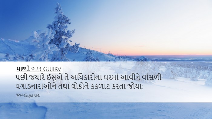 માથ્થી 9:23 GUJIRV Bible Verse Image