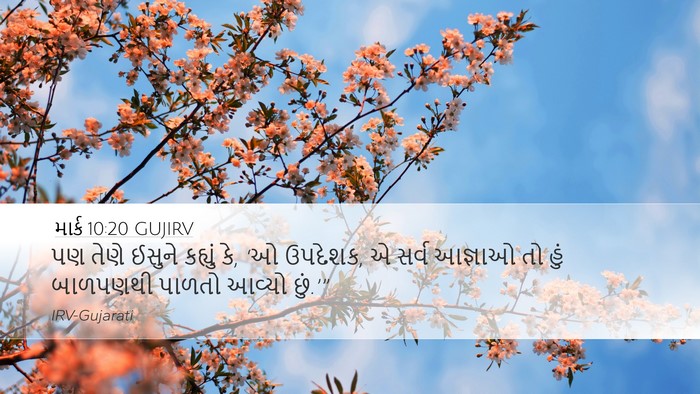 માર્ક 10:20 GUJIRV Bible Verse Image