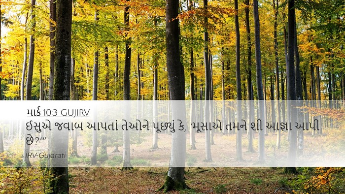 માર્ક 10:3 GUJIRV Desktop Wallpaper - ઈસુએ જવાબ આપતાં - Desktop Bible Verse Wallpaper