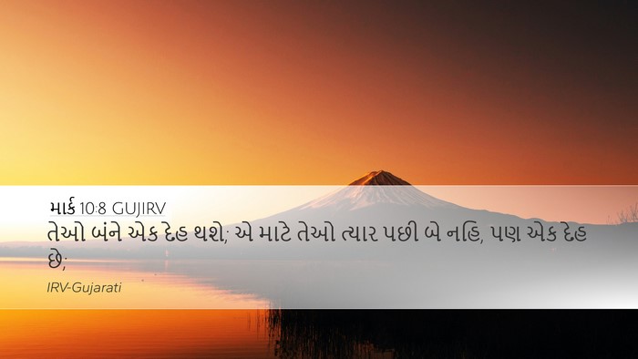 માર્ક 10:8 GUJIRV Desktop Wallpaper - તેઓ બંને એક દેહ - Desktop Bible Verse Wallpaper