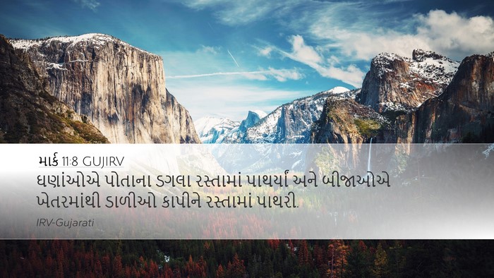 માર્ક 11:8 GUJIRV Bible Verse Image