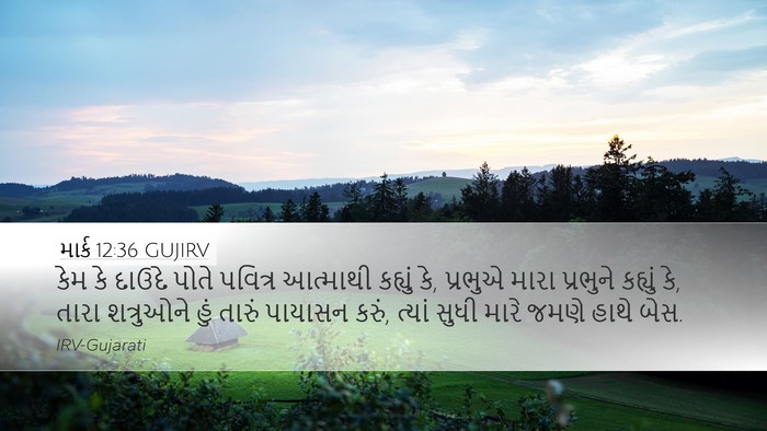માર્ક 12:36 GUJIRV Bible Verse Image