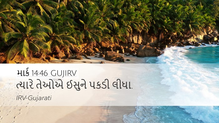 માર્ક 14:46 GUJIRV Bible Verse Image