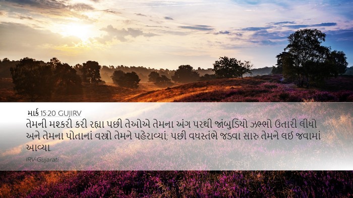 માર્ક 15:20 GUJIRV Bible Verse Image
