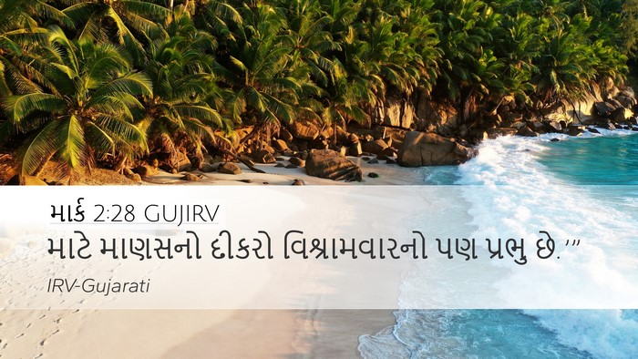 માર્ક 2:28 GUJIRV Bible Verse Image