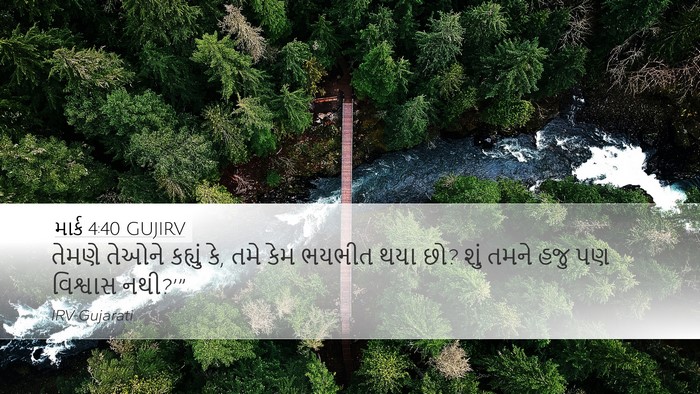 માર્ક 4:40 GUJIRV Bible Verse Image