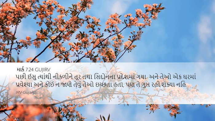 માર્ક 7:24 GUJIRV Bible Verse Image