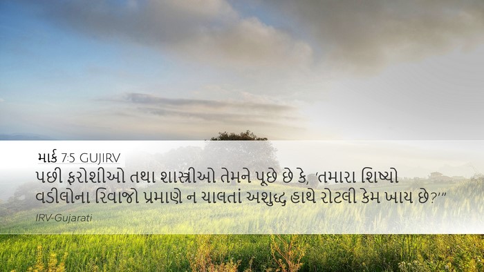 માર્ક 7:5 GUJIRV Bible Verse Image