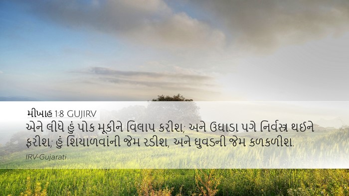 મીખાહ 1:8 GUJIRV Bible Verse Image
