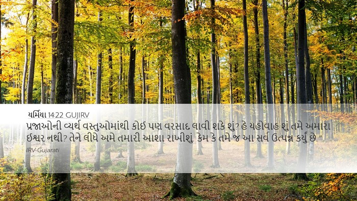 યર્મિયા 14:22 GUJIRV Bible Verse Image