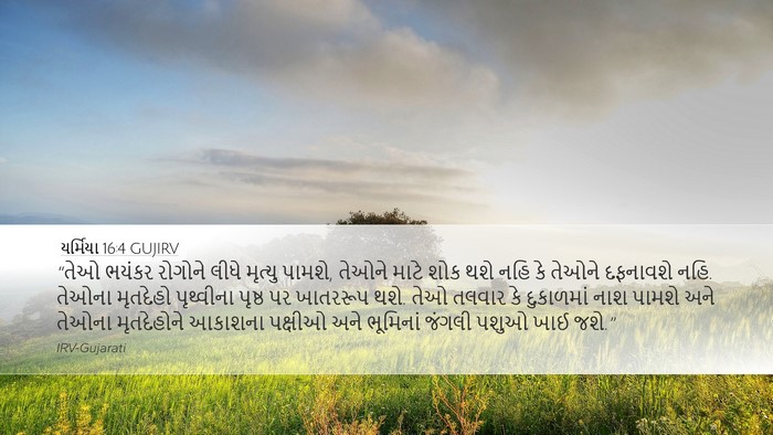 યર્મિયા 16:4 GUJIRV Bible Verse Image