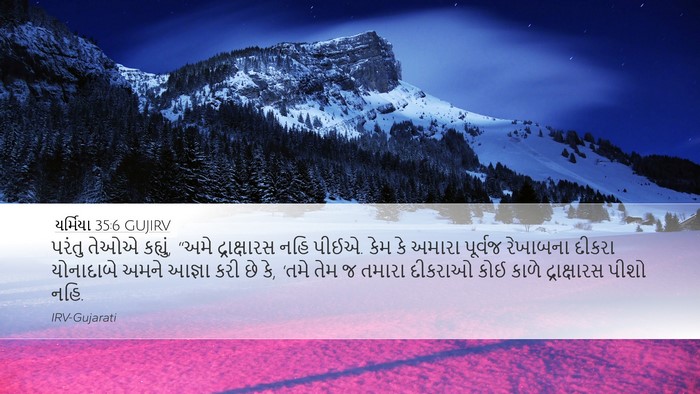 યર્મિયા 35:6 GUJIRV Bible Verse Image