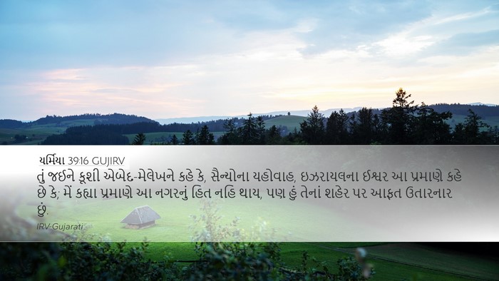 યર્મિયા 39:16 GUJIRV Bible Verse Image