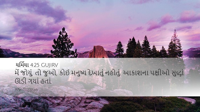 યર્મિયા 4:25 GUJIRV Bible Verse Image