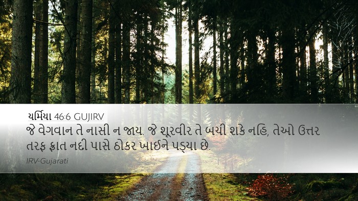 યર્મિયા 46:6 GUJIRV Bible Verse Image
