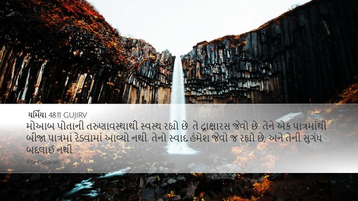 યર્મિયા 48:11 GUJIRV Bible Verse Image