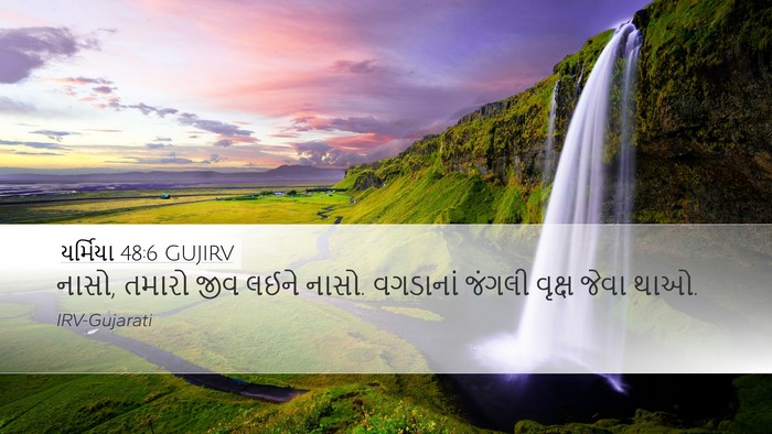 યર્મિયા 48:6 GUJIRV Bible Verse Image