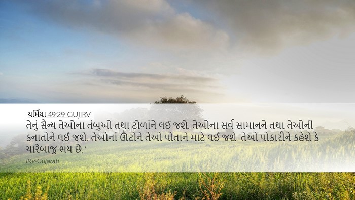યર્મિયા 49:29 GUJIRV Bible Verse Image
