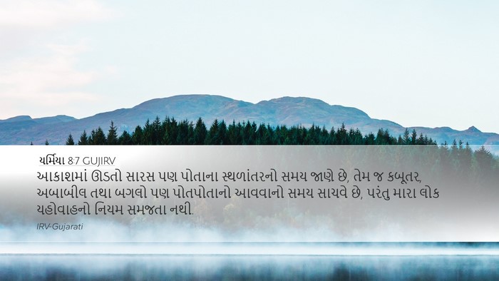 યર્મિયા 8:7 GUJIRV Bible Verse Image