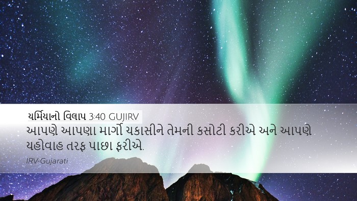 યર્મિયાનો વિલાપ 3:40 GUJIRV Bible Verse Image