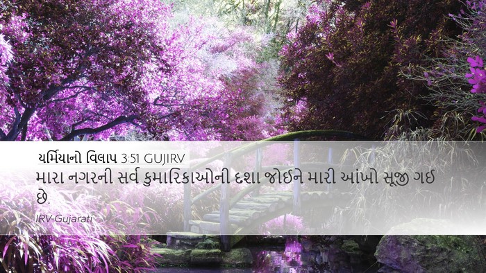 યર્મિયાનો વિલાપ 3:51 GUJIRV Bible Verse Image