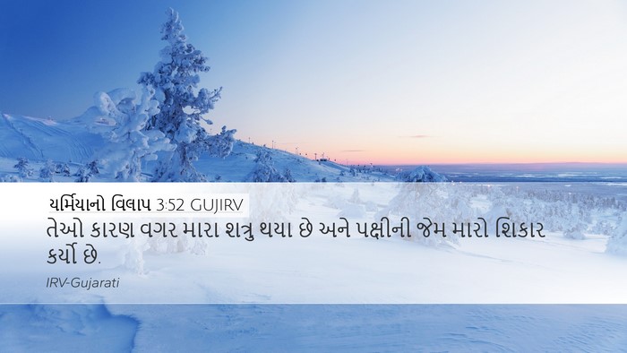 યર્મિયાનો વિલાપ 3:52 GUJIRV Bible Verse Image