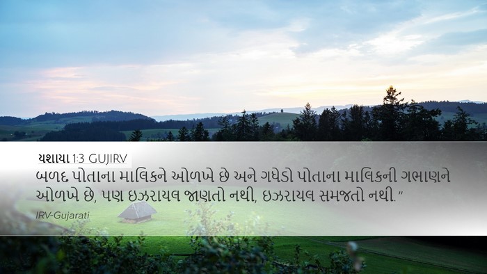 યશાયા 1:3 GUJIRV Bible Verse Image