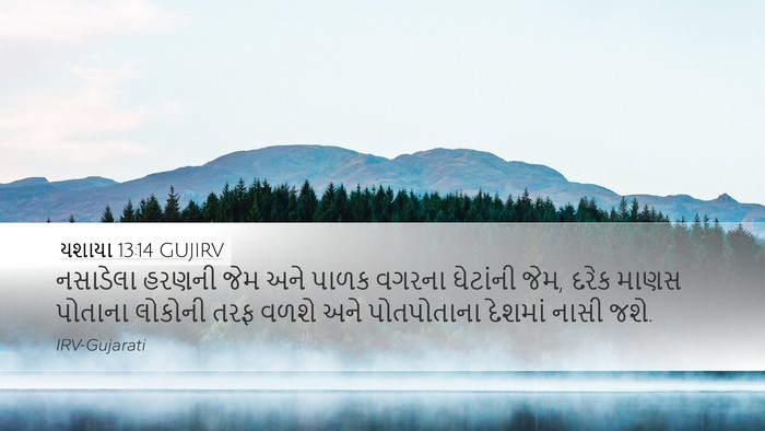 યશાયા 13:14 GUJIRV Bible Verse Image
