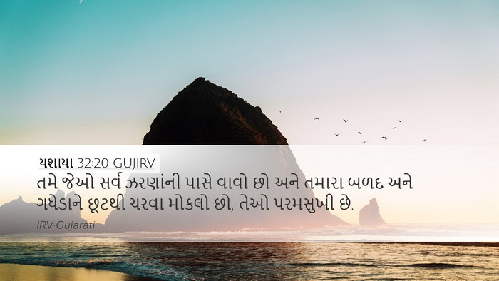 યશાયા 32:20 GUJIRV Bible Verse Image