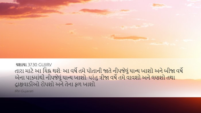 યશાયા 37:30 GUJIRV Bible Verse Image