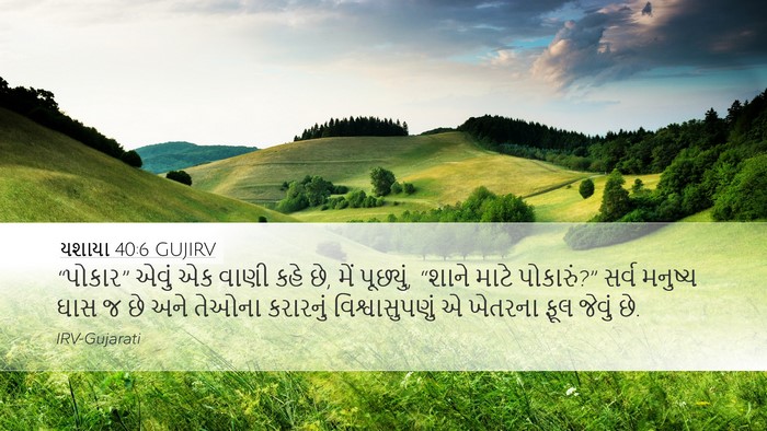 યશાયા 40:6 GUJIRV Bible Verse Image