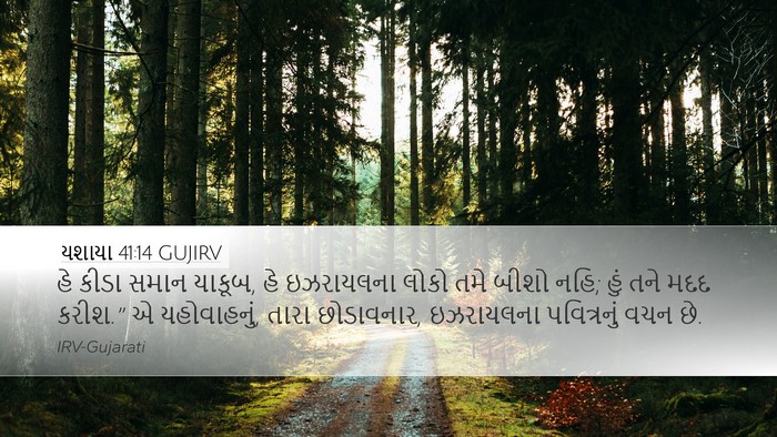 યશાયા 41:14 GUJIRV Bible Verse Image