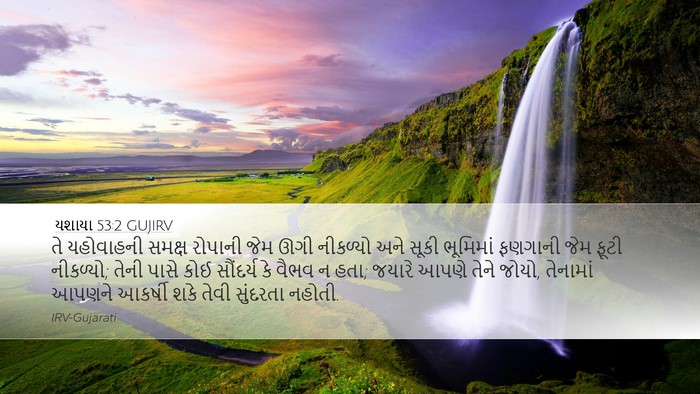યશાયા 53:2 GUJIRV Bible Verse Image