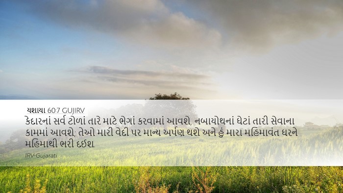 યશાયા 60:7 GUJIRV Bible Verse Image