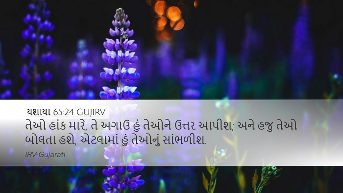 યશાયા 65:24 GUJIRV Bible Verse Image