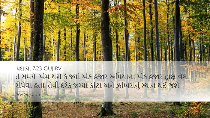યશાયા 7:23 GUJIRV Bible Verse Image