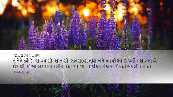 યશાયા 7:4 GUJIRV Bible Verse Image