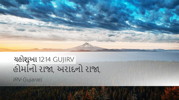 યહોશુઆ 12:14 GUJIRV Bible Verse Image
