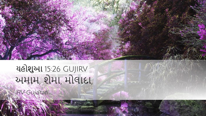 યહોશુઆ 15:26 GUJIRV Desktop Wallpaper - અમામ, શેમા, - Desktop Bible Verse Wallpaper