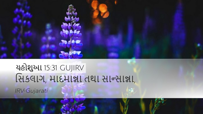 યહોશુઆ 15:31 GUJIRV Desktop Wallpaper - સિકલાગ, માદમાન્ના - Desktop Bible Verse Wallpaper