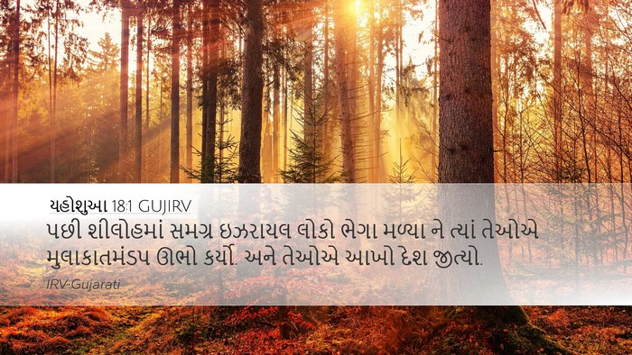 યહોશુઆ 18:1 GUJIRV Desktop Wallpaper - પછી શીલોહમાં - Desktop Bible Verse Wallpaper