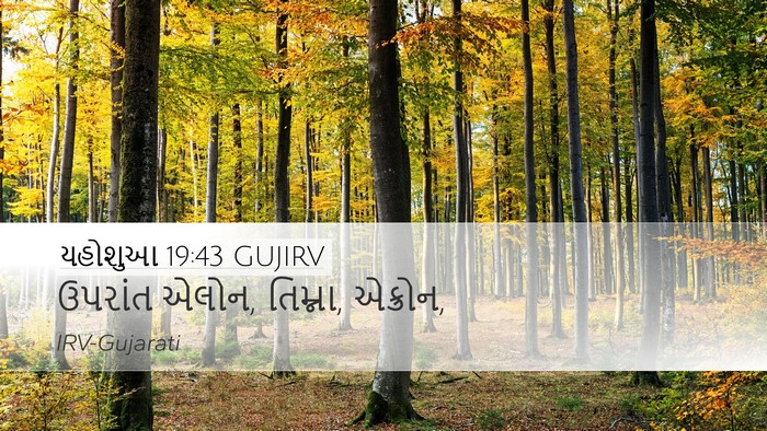 યહોશુઆ 19:43 GUJIRV Bible Verse Image