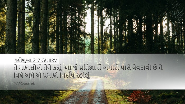 યહોશુઆ 2:17 GUJIRV Bible Verse Image