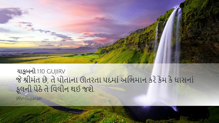 યાકૂબનો 1:10 GUJIRV Bible Verse Image