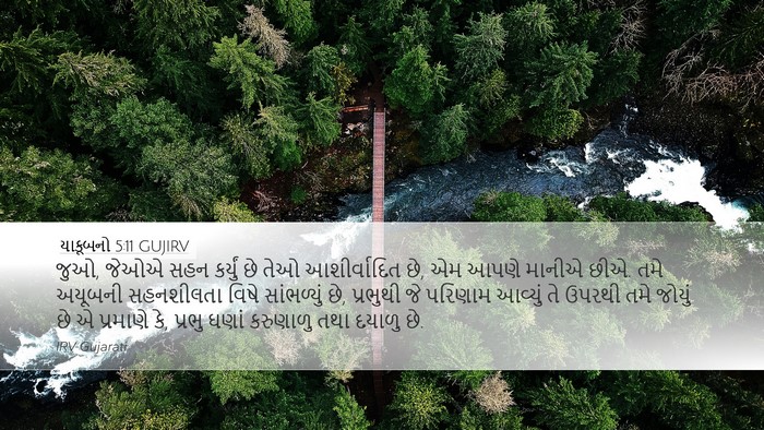 યાકૂબનો 5:11 GUJIRV Bible Verse Image